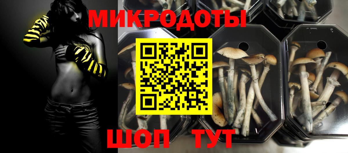 Галлюциногенные грибы Cubensis  Вход с VPN  Псилоцибиновые грибы Psilocybe  Избербаш 